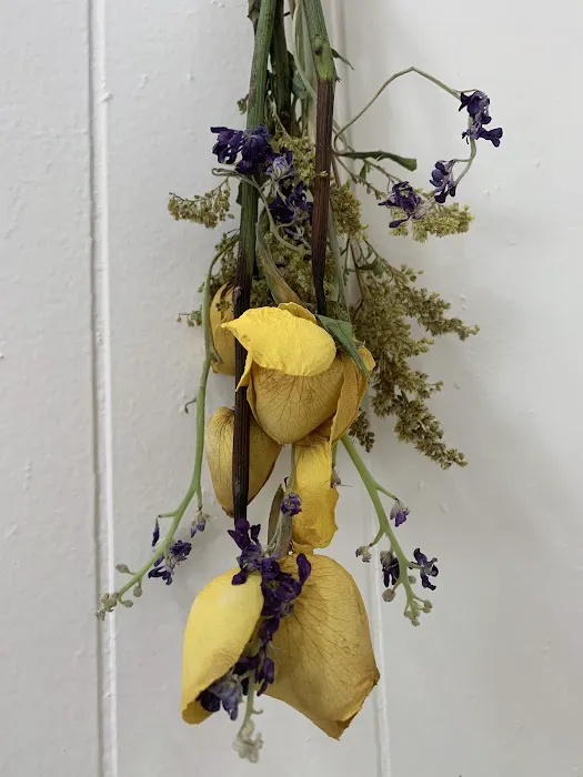 Natural Organic Skin Spa Picture 5