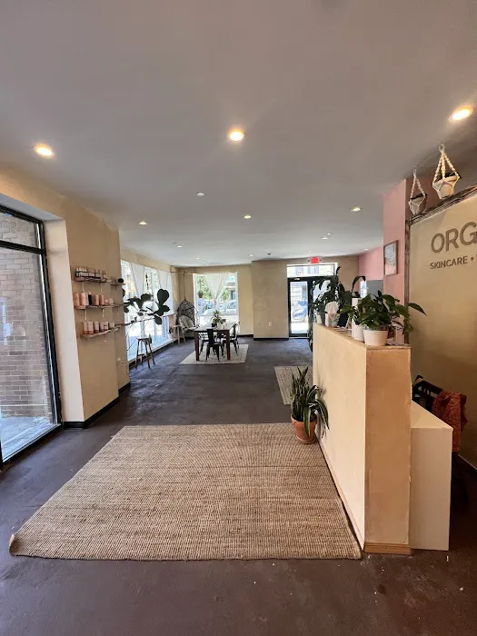 Organic Skincare + Wellness NYC: Facials | Body Massage | Sugaring | Sauna Picture 1