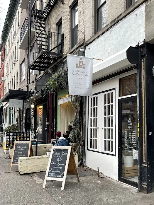 Organic Skincare + Wellness NYC: Facials | Body Massage | Sugaring | Sauna Picture 6