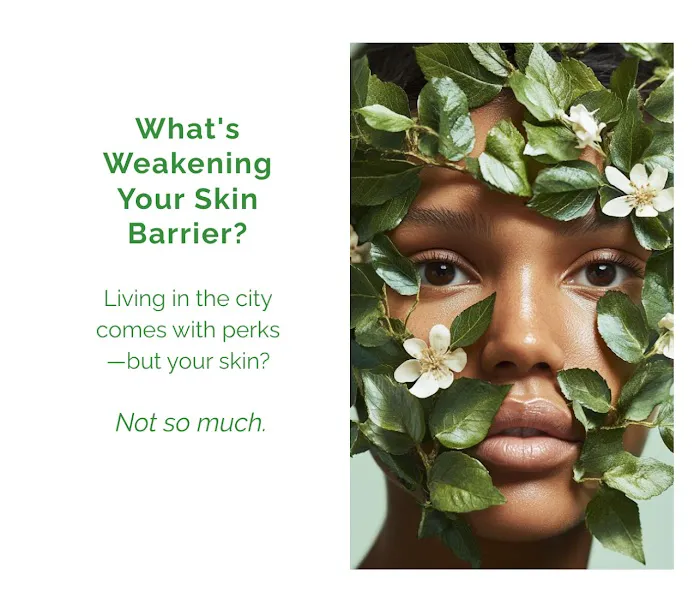 Organic Skincare + Wellness NYC: Facials | Body Massage | Sugaring | Sauna Picture 10