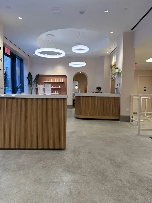 Peachy Brooklyn Heights Picture 7