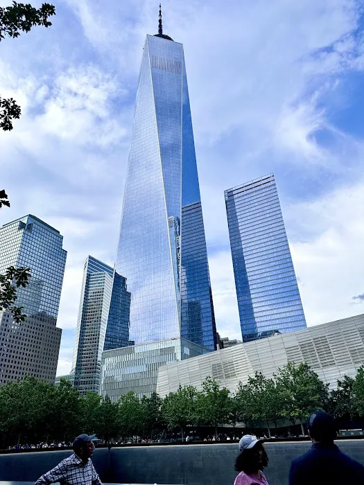 Skin Back To Young Picture 1