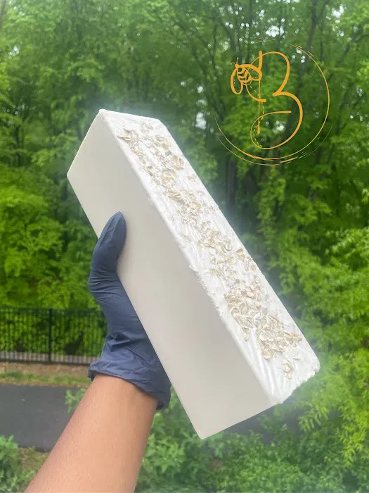 Honey Bee Studio llc Picture 3