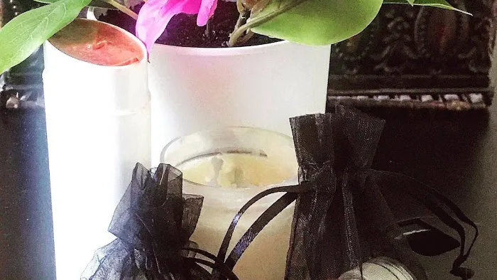 SkyLena Moon Picture 1