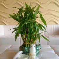 Fresh Face Skincare & Laser ico