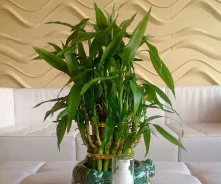 Fresh Face Skincare & Laser