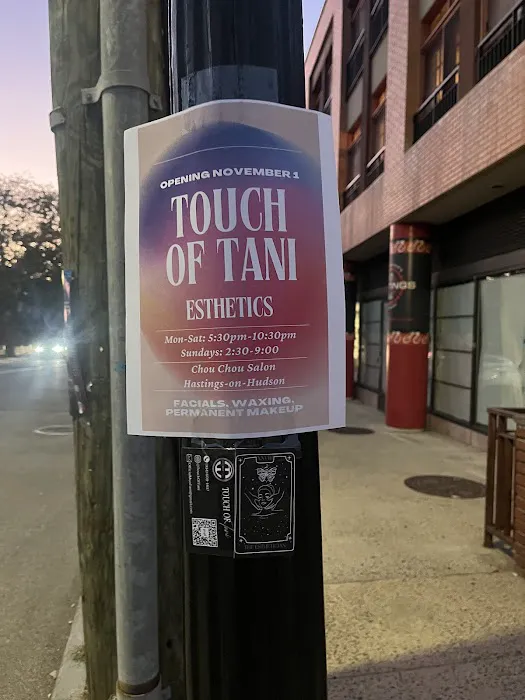 Touch Of Tani Picture 3