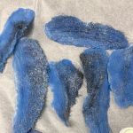 Dee’s Luxe Esthetics Studio