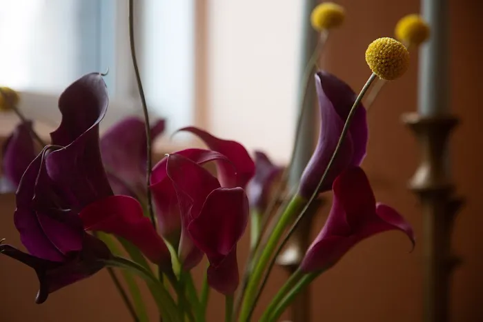 Nas'tassia Skin Picture 1