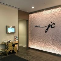 The Skin Studio NY ico