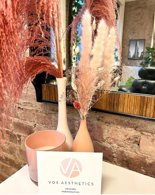 Vos Aesthetics Picture 4