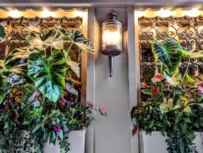 Serenity Suite NYC Picture 1