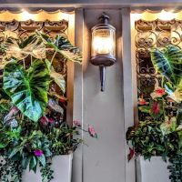 Serenity Suite NYC ico