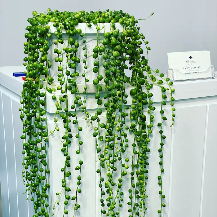 Emily's Skin Studio Picture 9