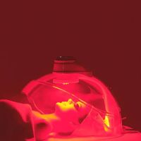 Bams Beauty Skin Care ico