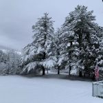 Advanced Dermatology PLLC