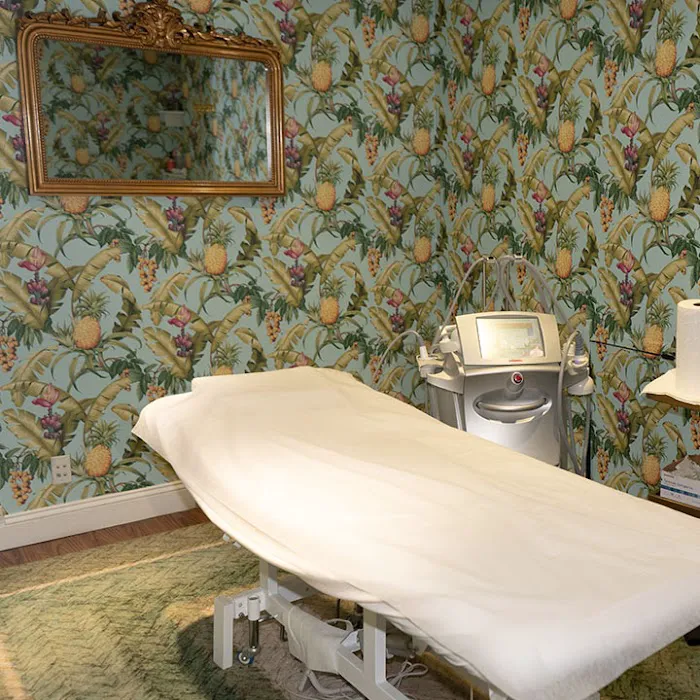 Dermaclinic Laser & Lipo New York Picture 8