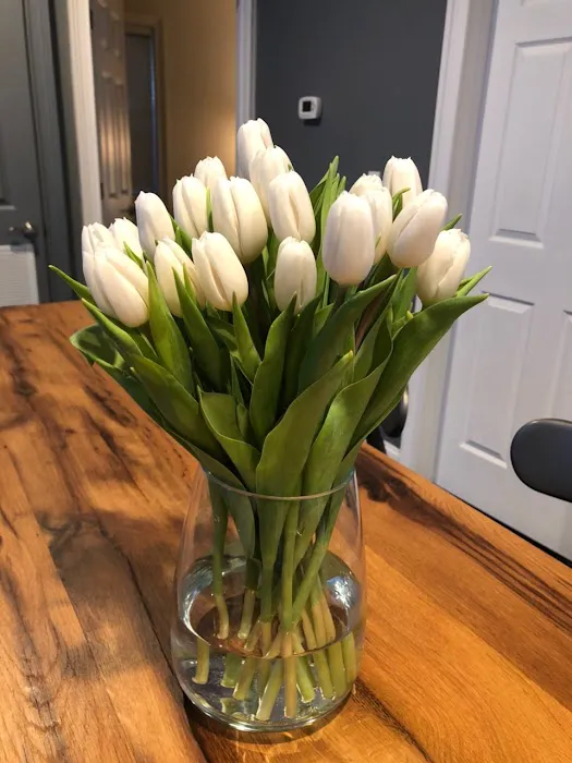 S.ESTHETICS Picture 4