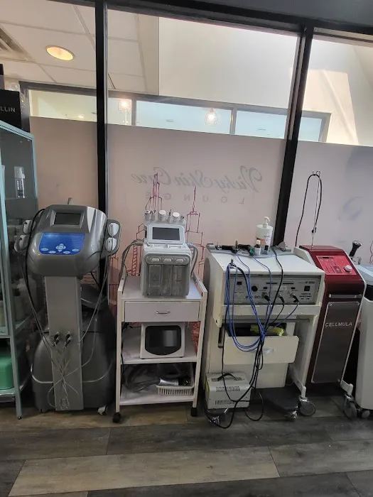 Vicky Skincare Lounge/경락/얼굴축소(face reduction)/acne/Anti-Aging skin care/ Facial Recovery Treatment Picture 8