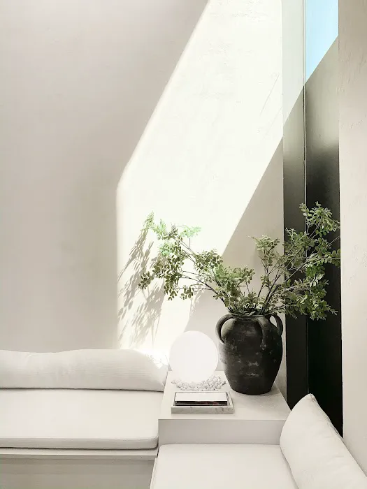 Skin Supply Skincaring Studios Picture 7