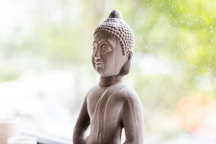 Skin Therapy Wellness Center Picture 8