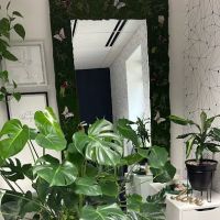 Berkshire Rose Skin ico