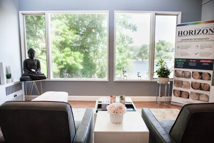 FaBesthetics Face and Body Med Spa Picture 5