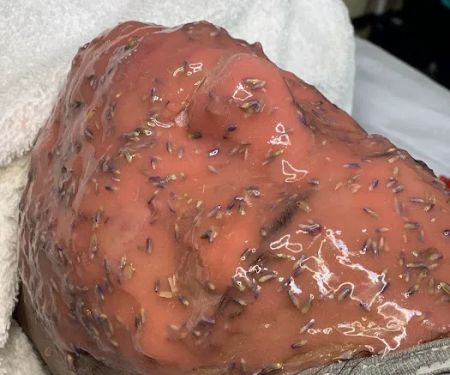 Skin Disciple Studio