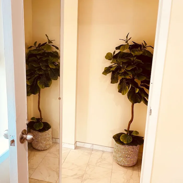 Skindeep Aesthetics Picture 7