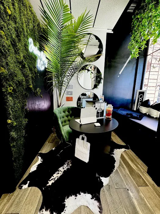 Jessica Ashley & Co. Picture 1