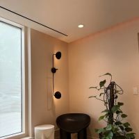 Peachy Williamsburg ico