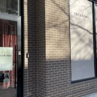 Anna Yoshida Esthetics ico