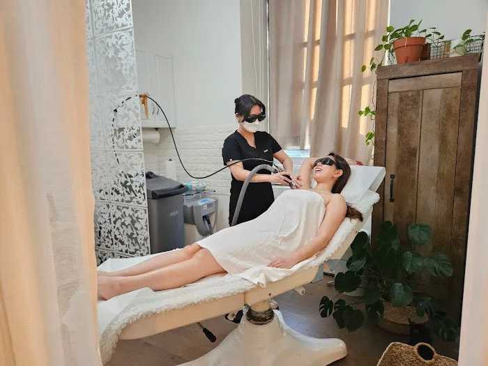 PURESTHETIQUE Holistic & Laser & Endospheres Picture 2