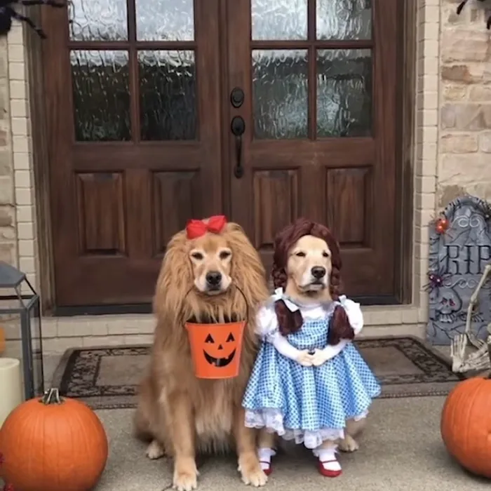 Dermacare Medical PC Yuriy Yagudin MD DO Picture 9