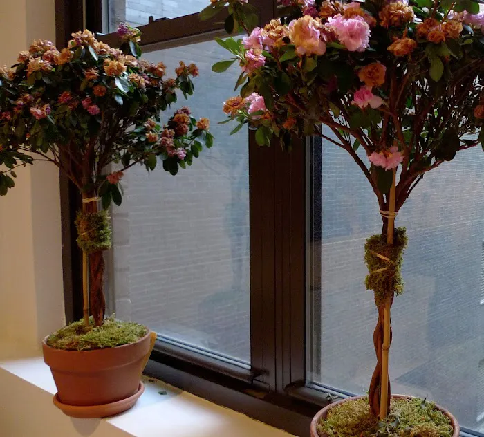 Skin Bar NYC Picture 5