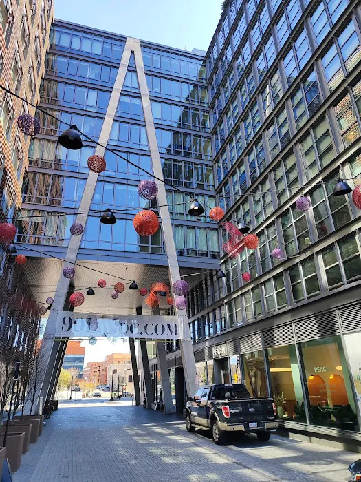 Peachy Shaw Picture 7