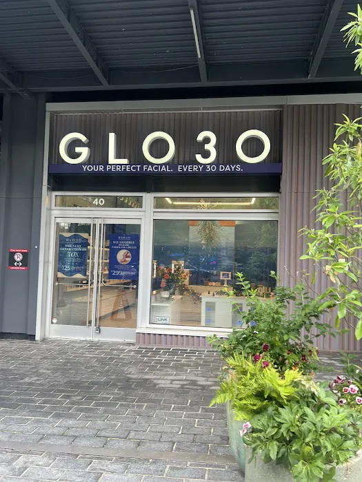 GLO30 Shaw DC Picture 3