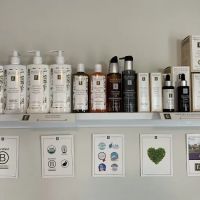 A Brush of Beauty ico