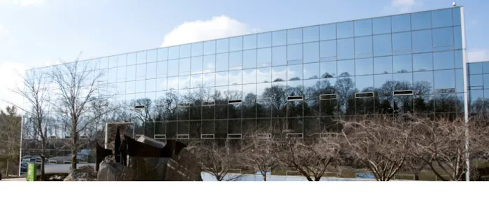 Collagen Bar NYC Picture 10