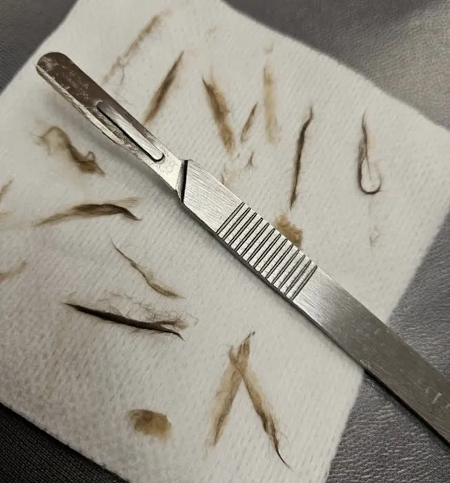 Natural Beauty Ct. Picture 8