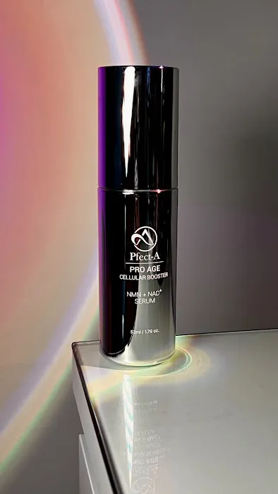 Cozy Studio Picture 1