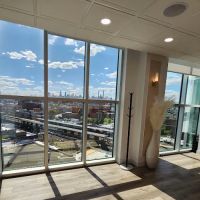 Dyana Raskin Aesthetics ico