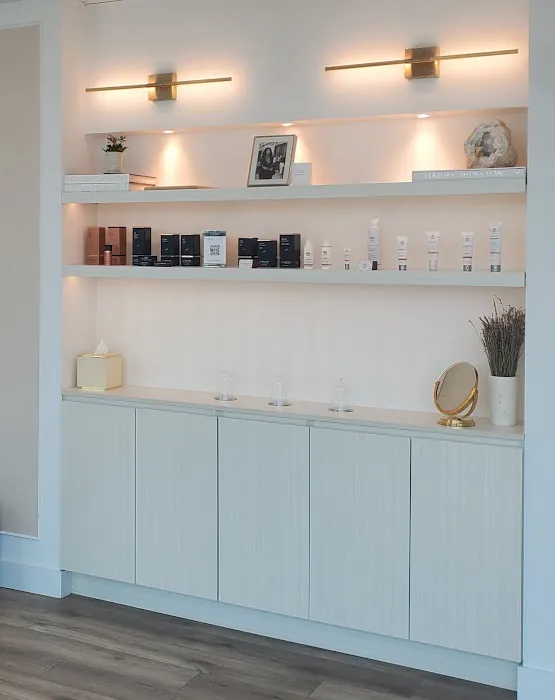 Dyana Raskin Aesthetics Picture 10