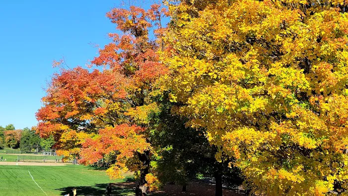 Acne Scar Treatment Center Picture 4