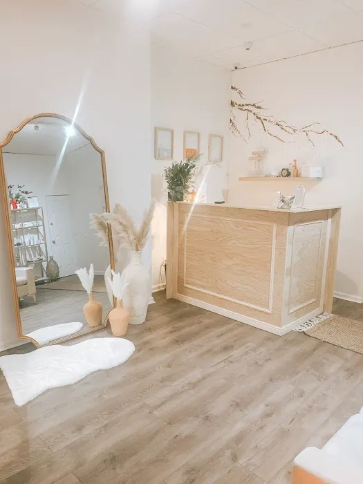 Plushe Aesthetics Picture 3