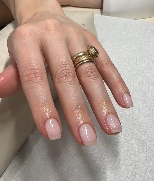 Stefi Studio Picture 2