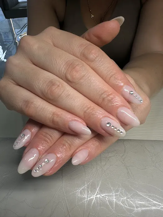 Stefi Studio Picture 1