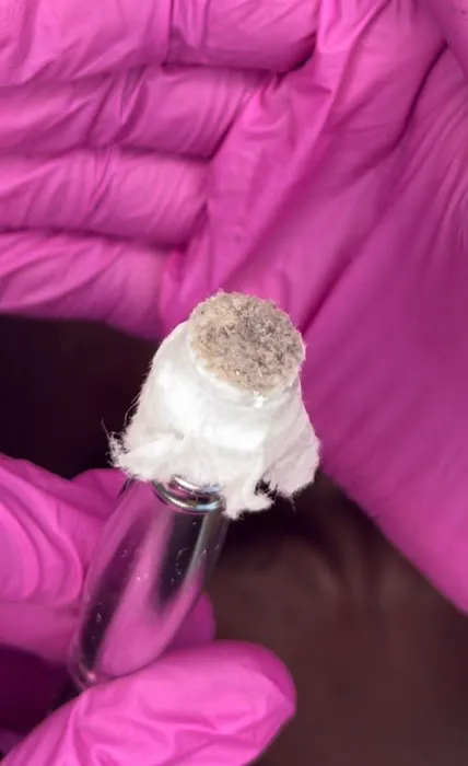 Diamond Envy Skin Studio Picture 4