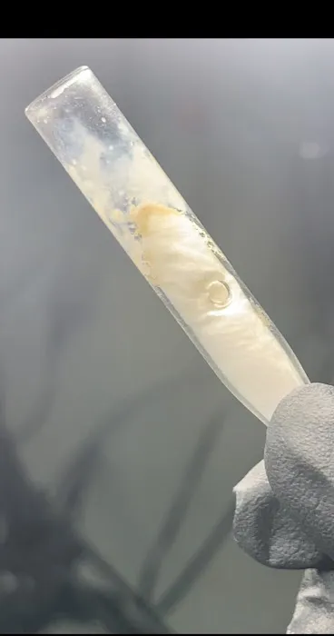 Diamond Envy Skin Studio Picture 5