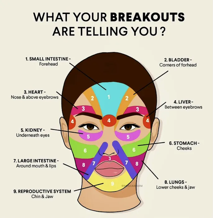 Ciamei Skin Care Clinic Picture 6